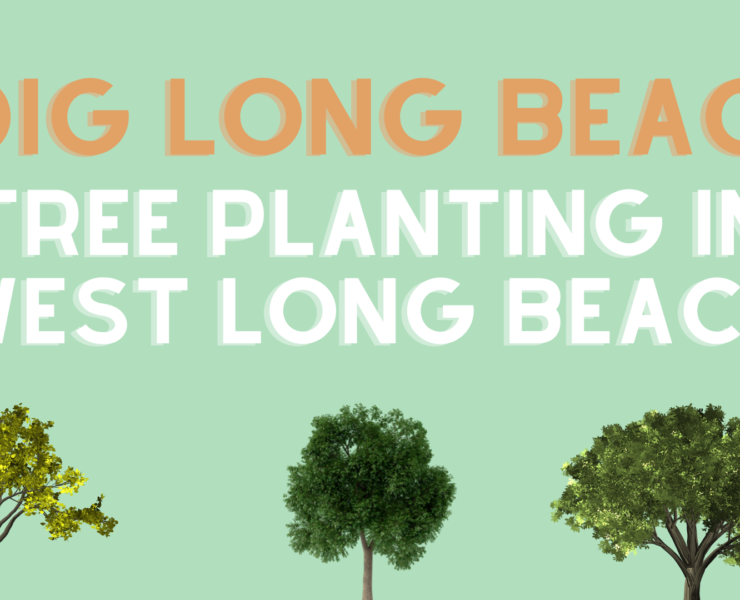 I Dig Long Beach Tree Planting in West Long Beach Volunteer Day Activity