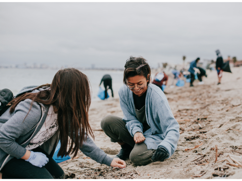 Algalita Marine Research and Education