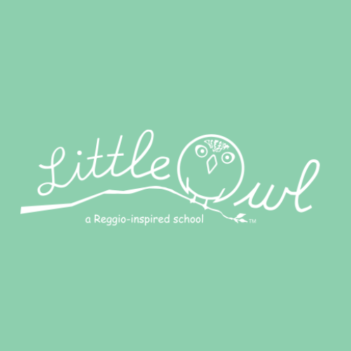 Little Owl School